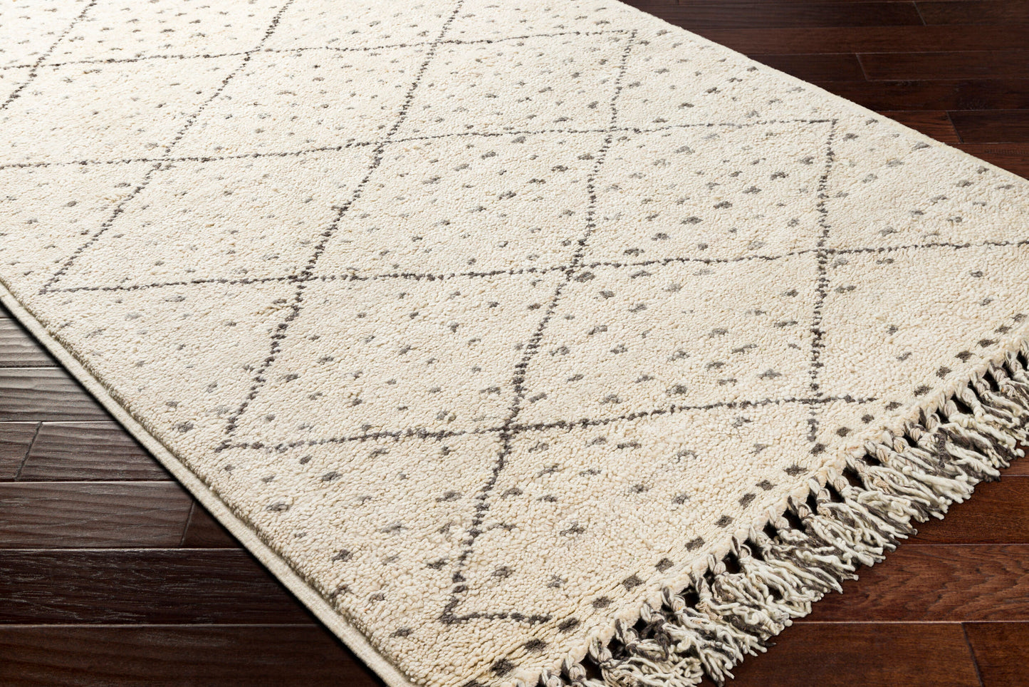 Meknes MEK-1004 2' x 3' Handmade Wool Accent Rug