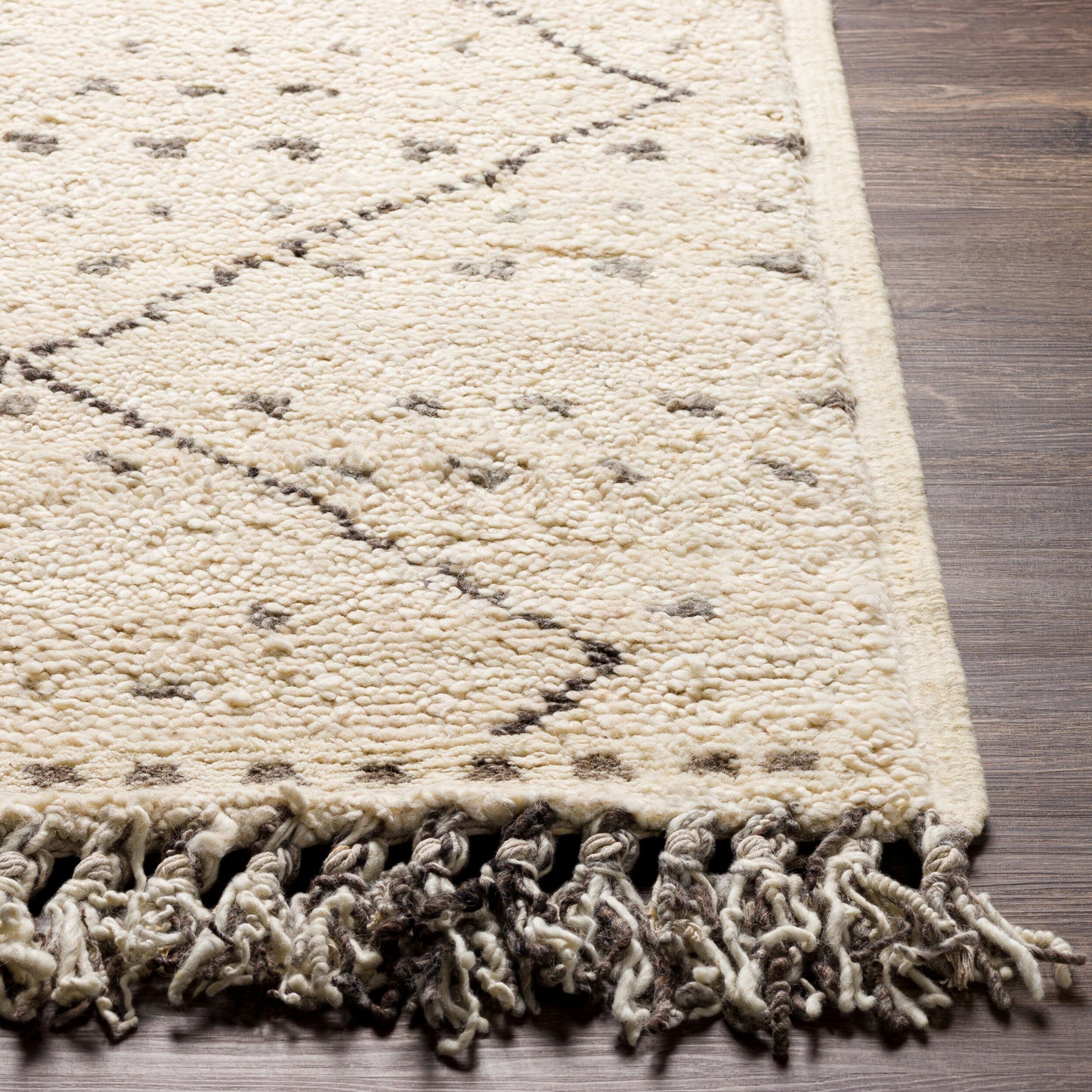 Meknes MEK-1004 2' x 3' Handmade Wool Accent Rug