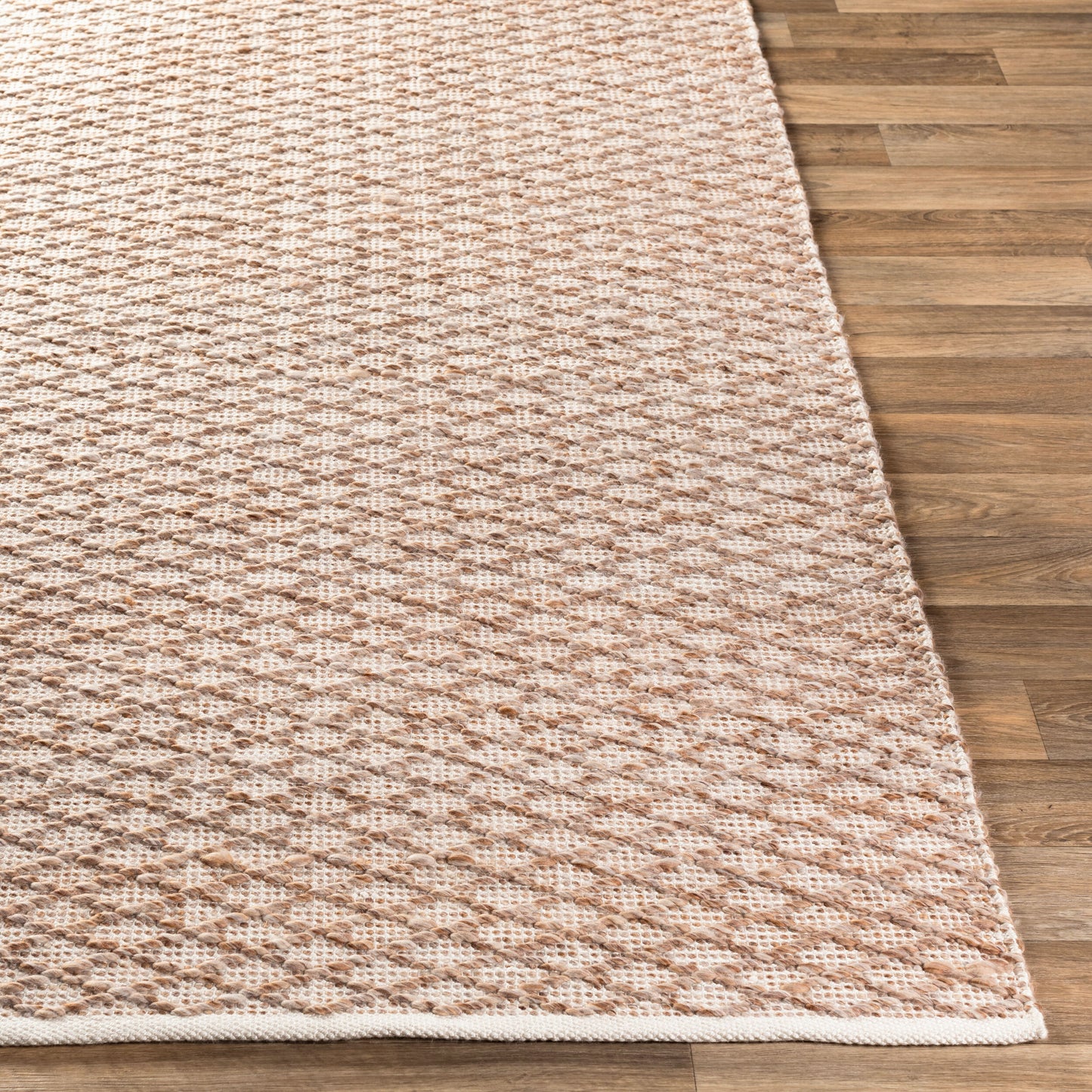 Modena MOE-1001 2' x 3' Handmade Accent Rug