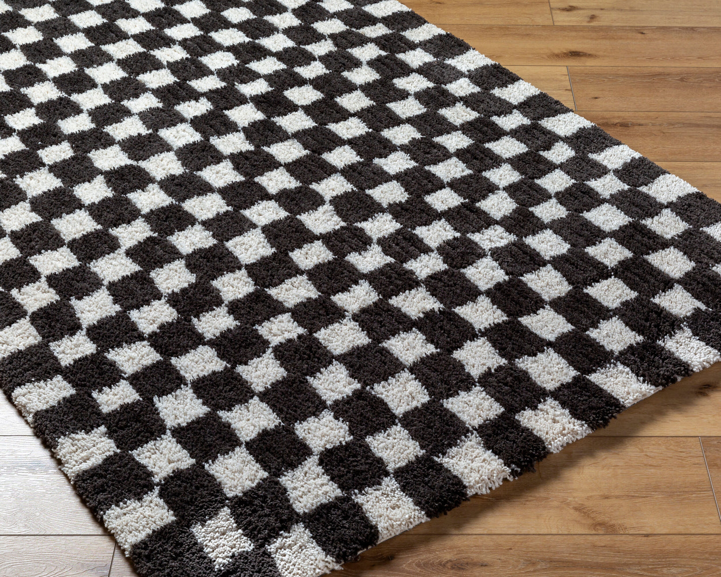 Nicole NCO-2302 Alfombra decorativa hecha a mano de 2' x 3'