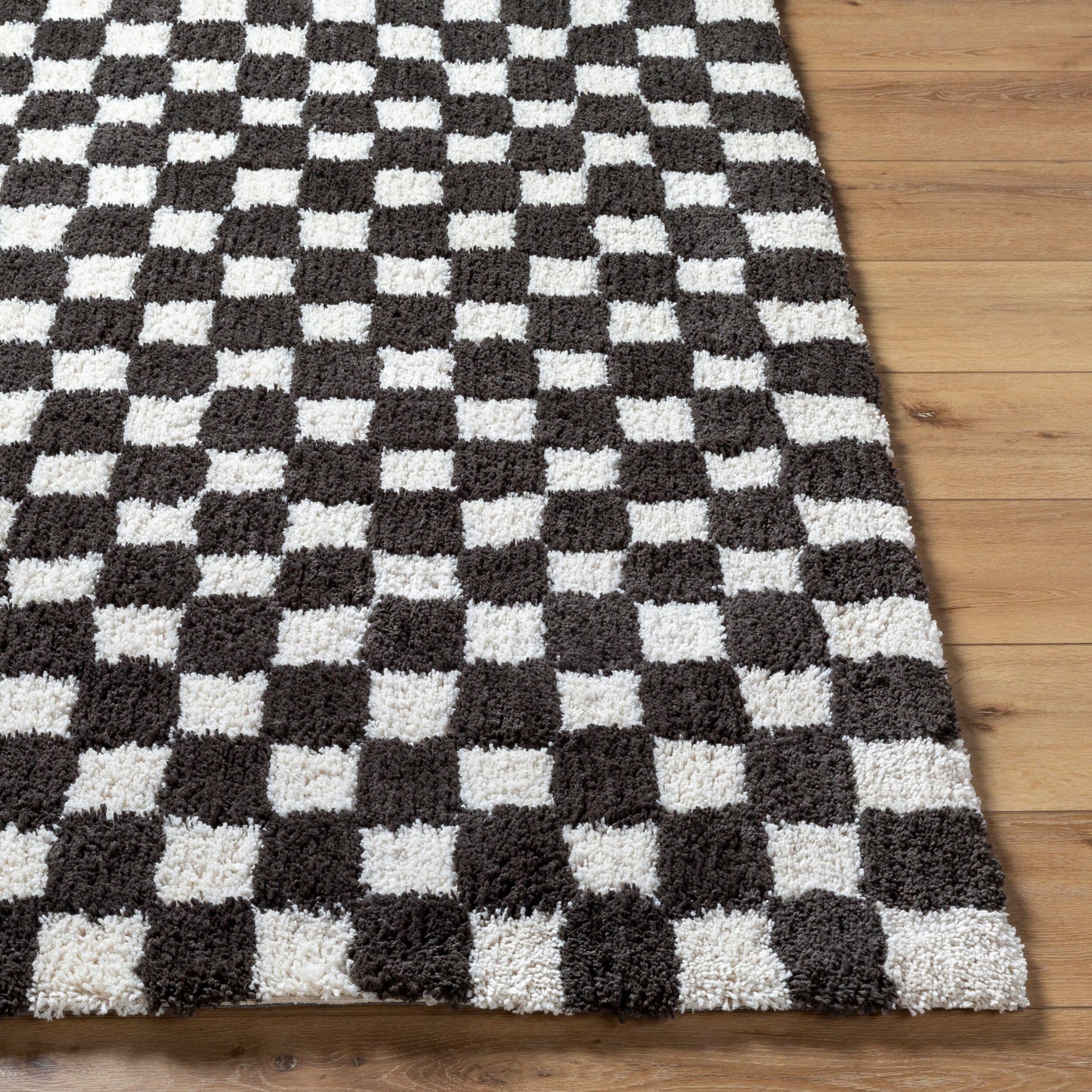 Nicole NCO-2302 Alfombra decorativa hecha a mano de 2' x 3'
