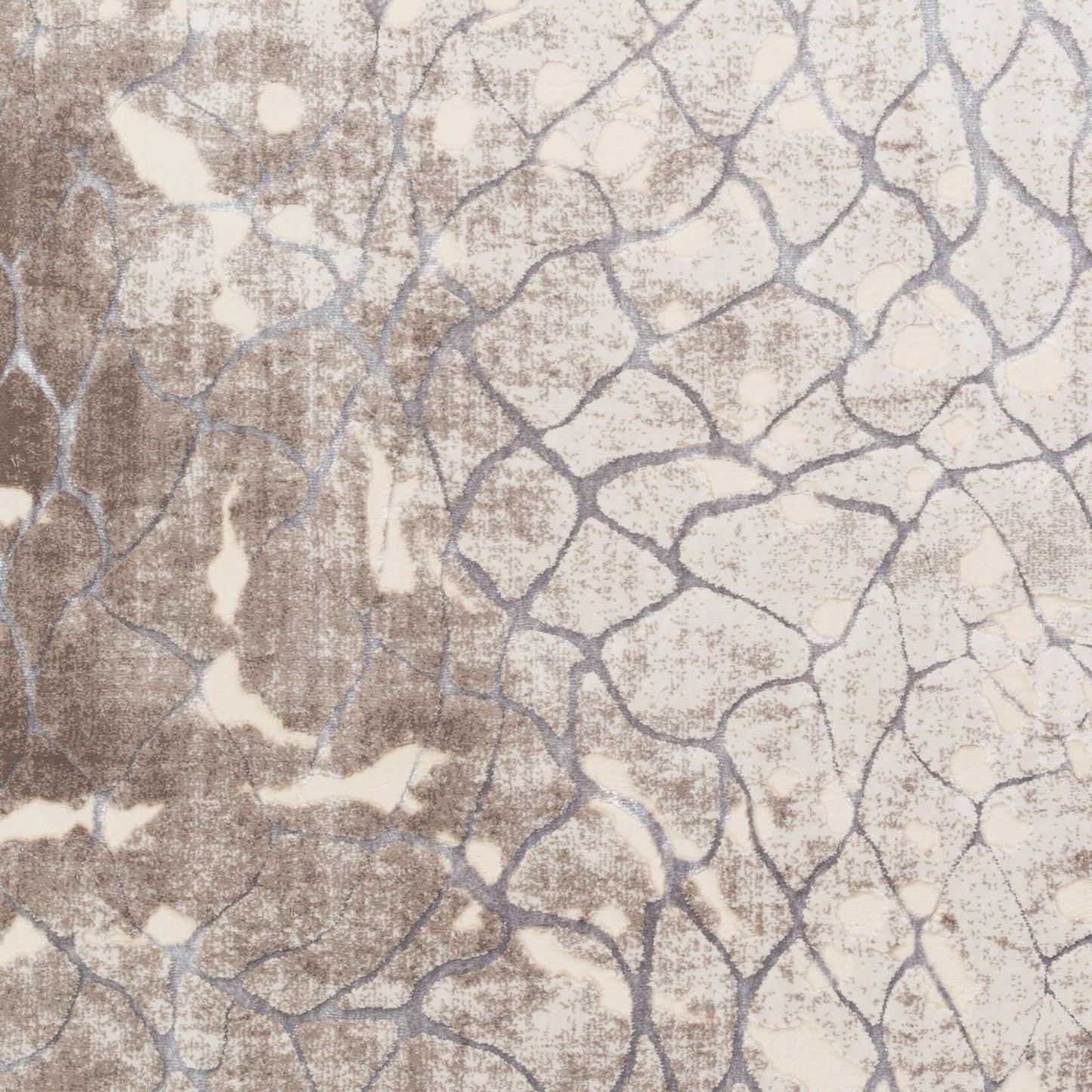 Neptune NEP-1001 8' x 11' Machine Woven Area Rug