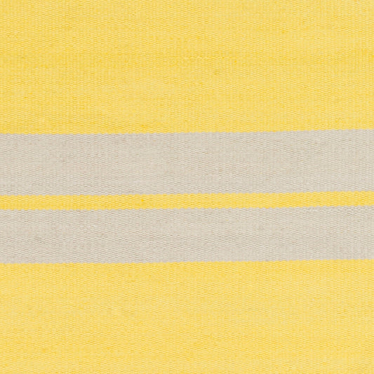 Alfombra decorativa Nantucket NNT-6001 de 2' x 3' para interiores y exteriores, hecha a mano