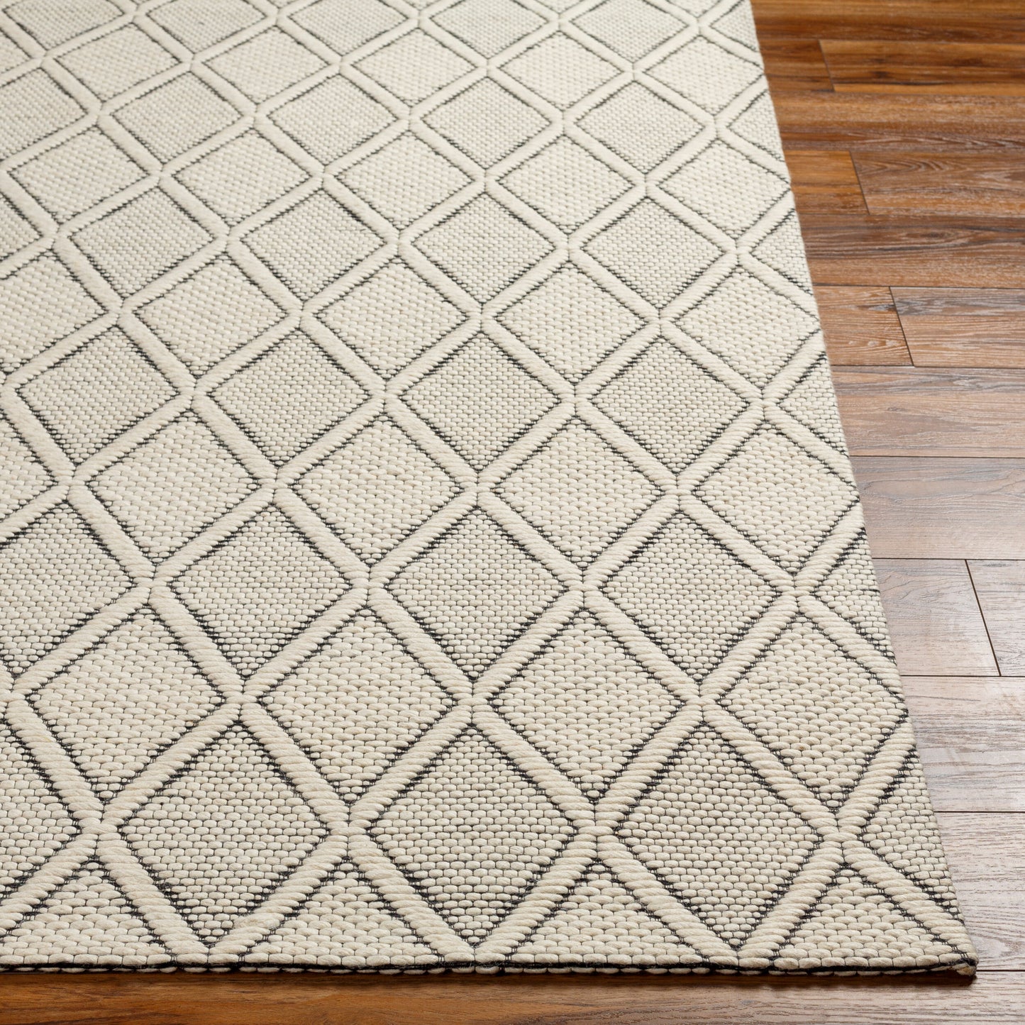Nevada NVD-2303 2' x 3' Handmade Wool Accent Rug