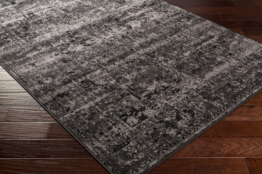 Paramount PAR-1060 2' x 3' Machine Woven Accent Rug