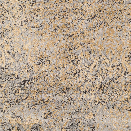 Paramount PAR-1074 2' x 3' Machine Woven Accent Rug