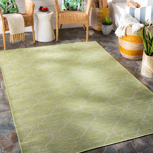 Pasadena PSA-2337 7ft Runner Machine Woven Indoor/Outdoor Runner Rug