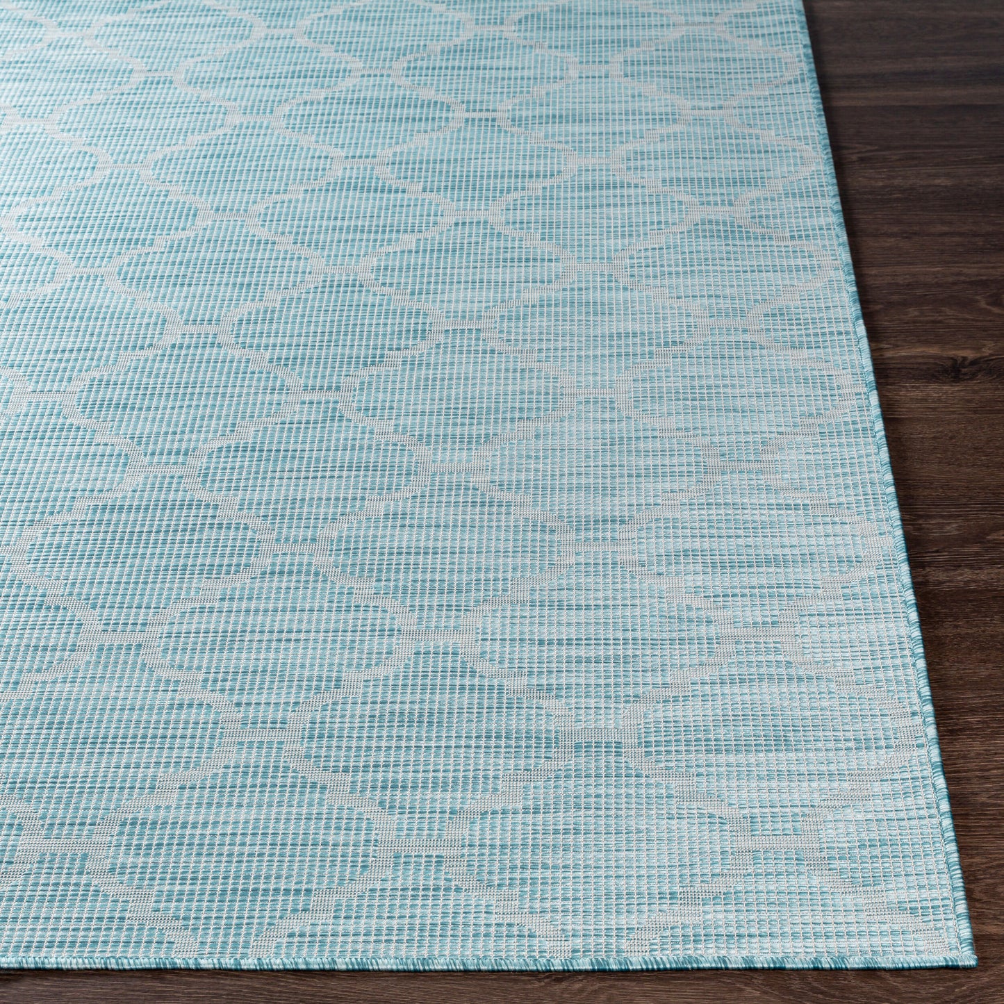 Pasadena PSA-2341 7ft Runner Machine Woven Indoor/Outdoor Runner Rug