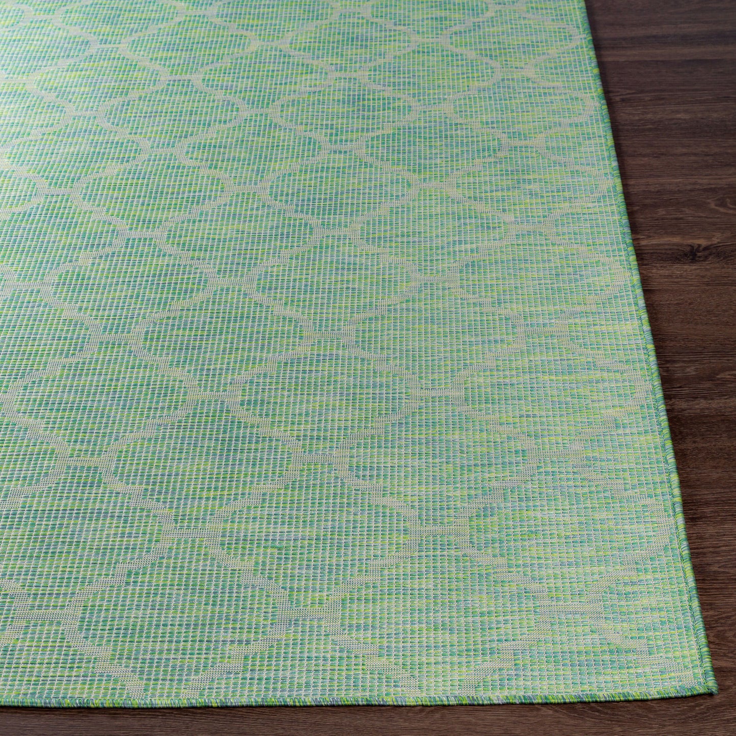 Pasadena PSA-2346 7ft Runner Machine Woven Indoor/Outdoor Runner Rug