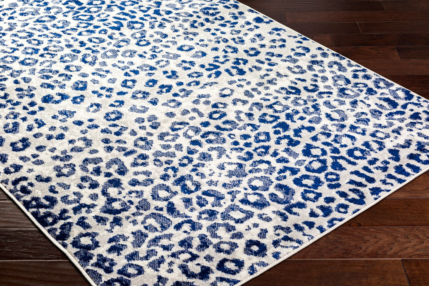 Pisa PSS-2380 5' x 7' Machine Woven Area Rug