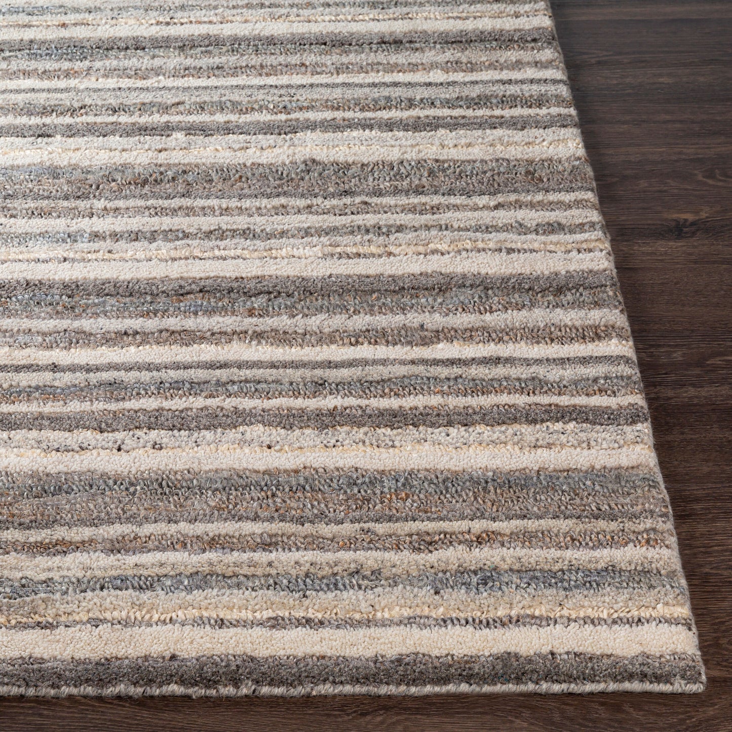 Petra PTR-2300 2' x 3' Handmade Accent Rug