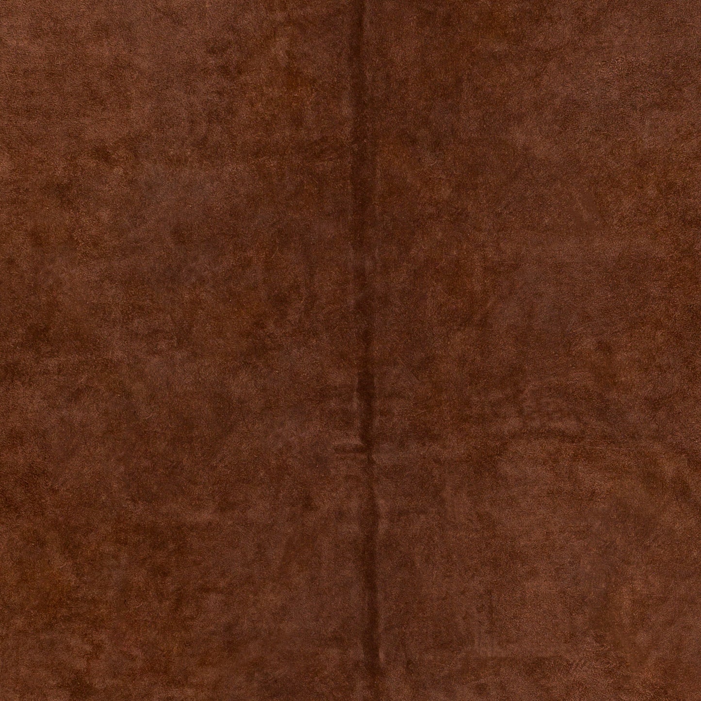 Rafaela RAA-1000 5' x 7' Handmade Area Rug