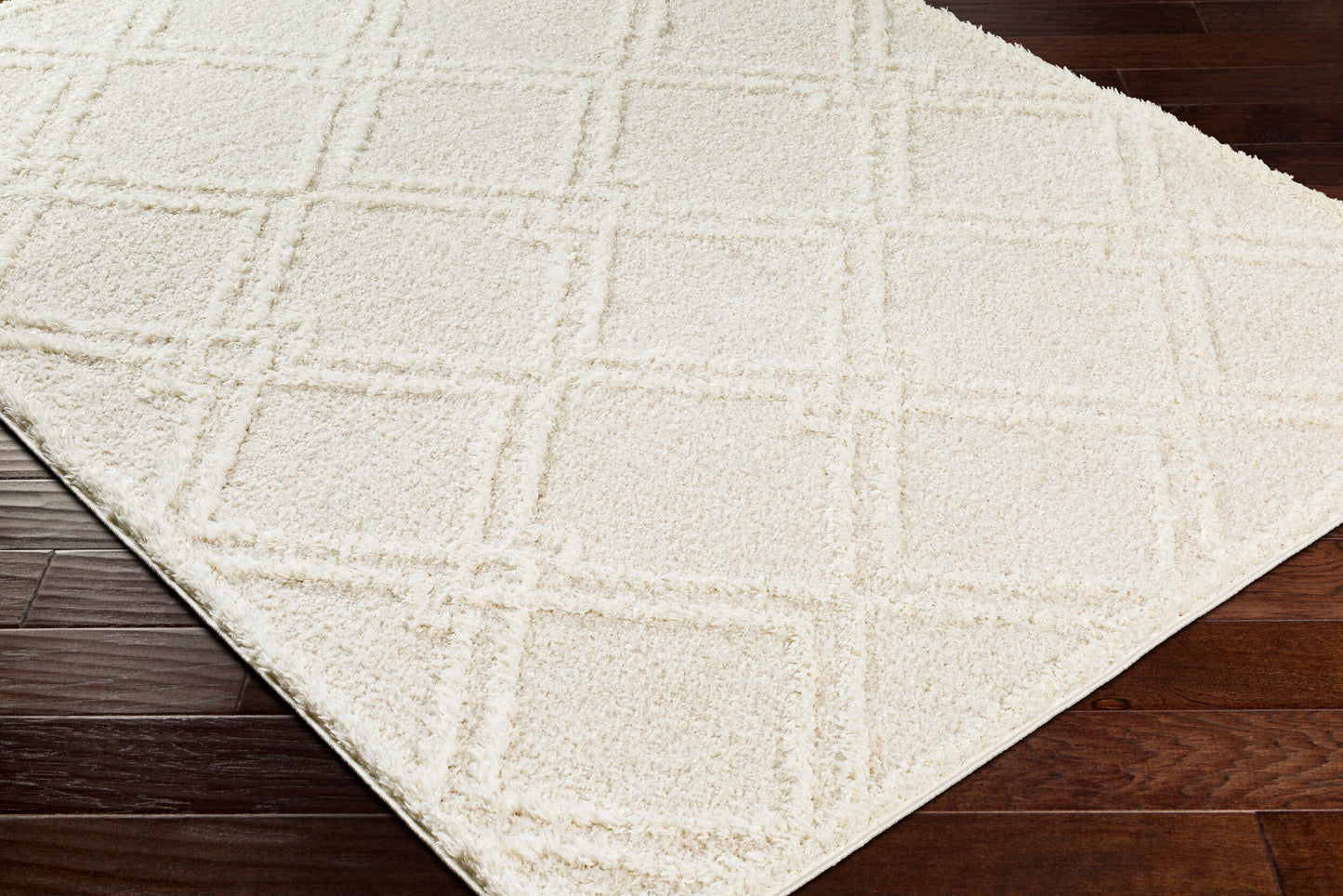Rodos RDO-2312 6' x 9' Machine Woven Area Rug