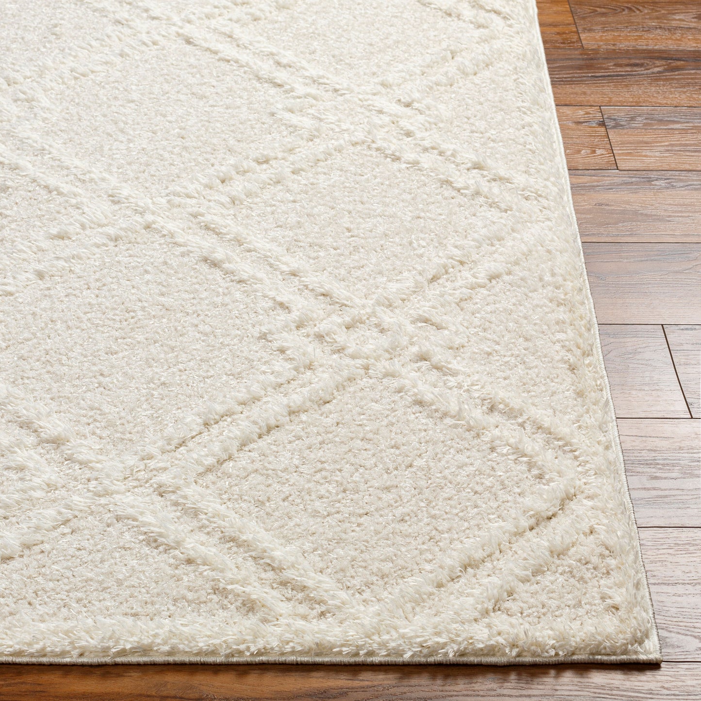 Rodos RDO-2312 6' x 9' Machine Woven Area Rug