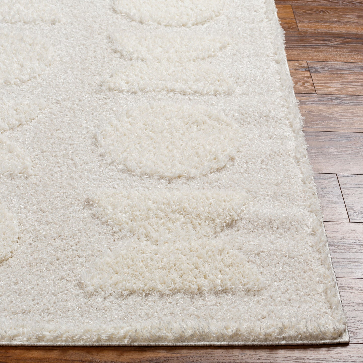 Rodos RDO-2322 6' x 9' Machine Woven Area Rug