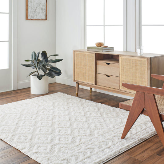 Rodos RDO-2336 8' x 10' Machine Woven Area Rug