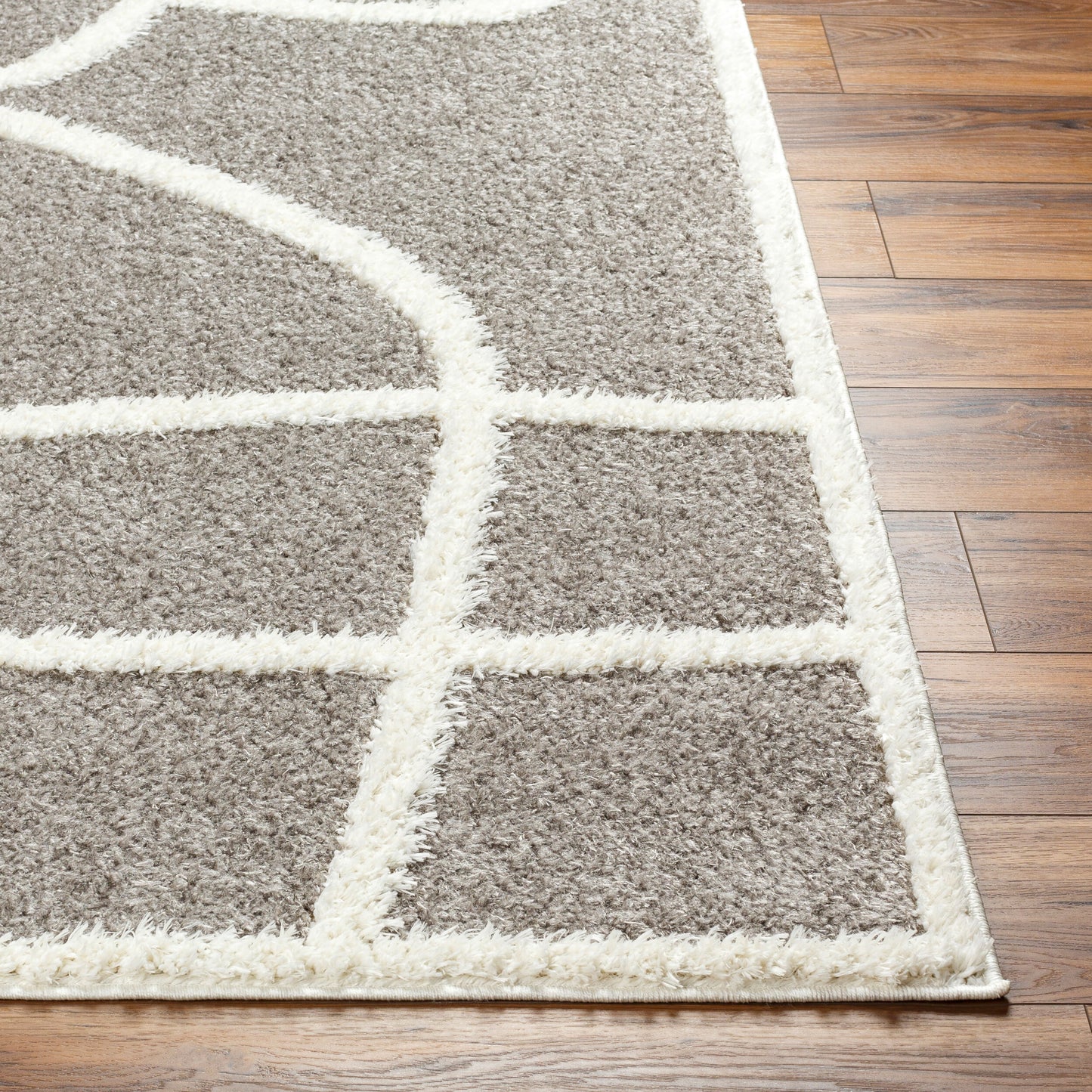Rodos RDO-2339 8' x 10' Machine Woven Area Rug