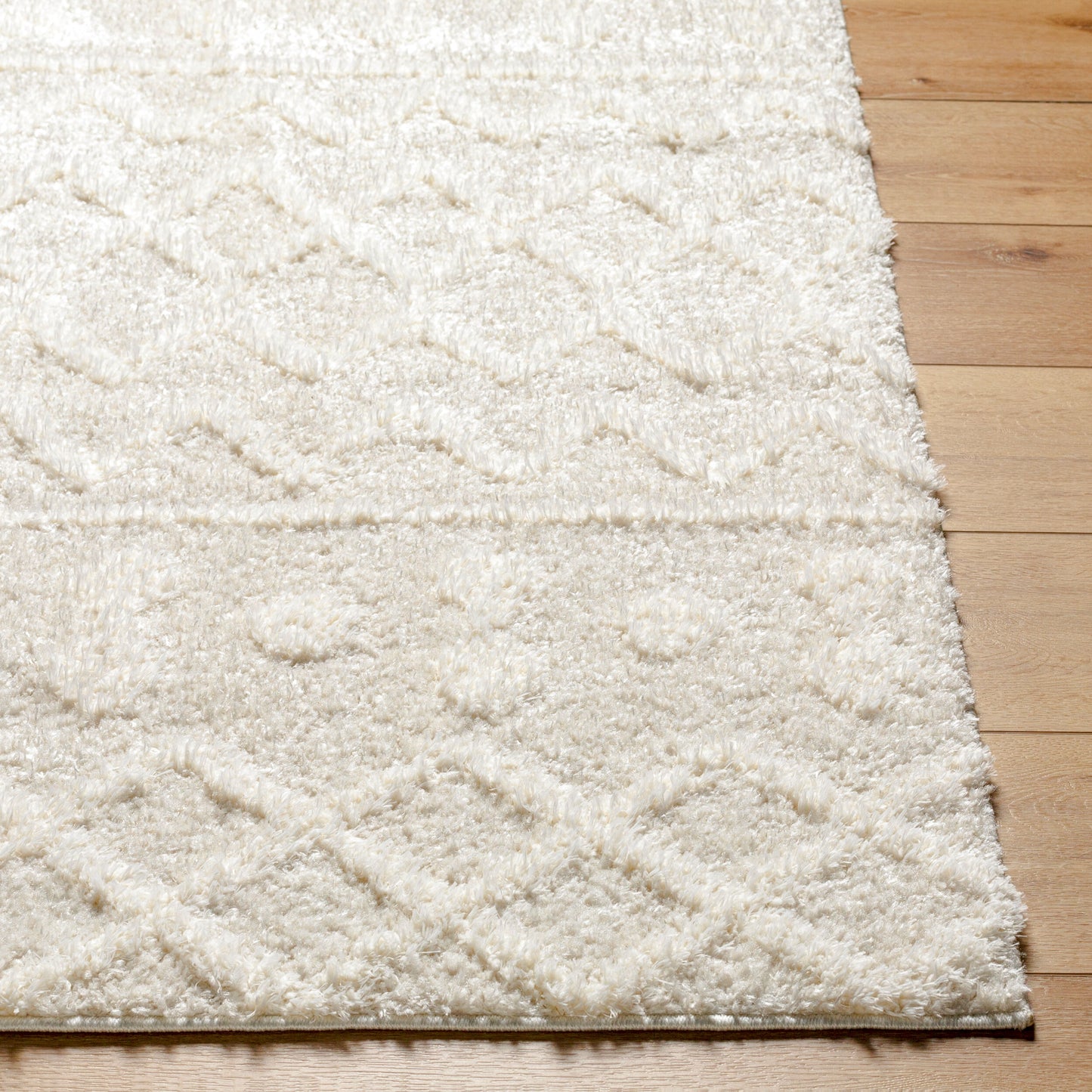 Rodos RDO-2343 5' x 7' Machine Woven Area Rug