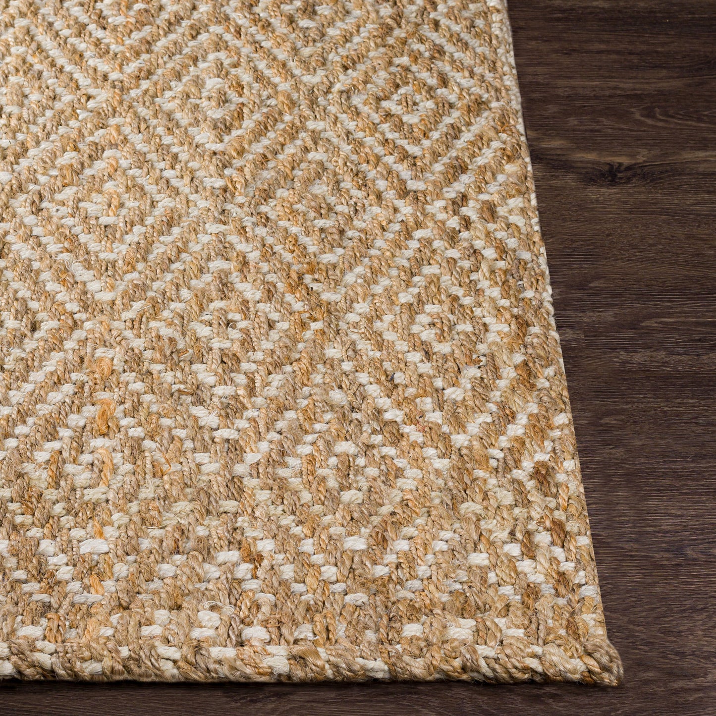 Reeds REED-807 2' x 3' Handmade Jute Accent Rug
