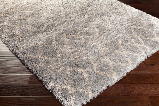 Rhapsody RHA-1032 2' x 3' Machine Woven Accent Rug
