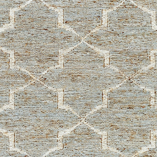 Riah RIH-2304 Hand Woven Rug
