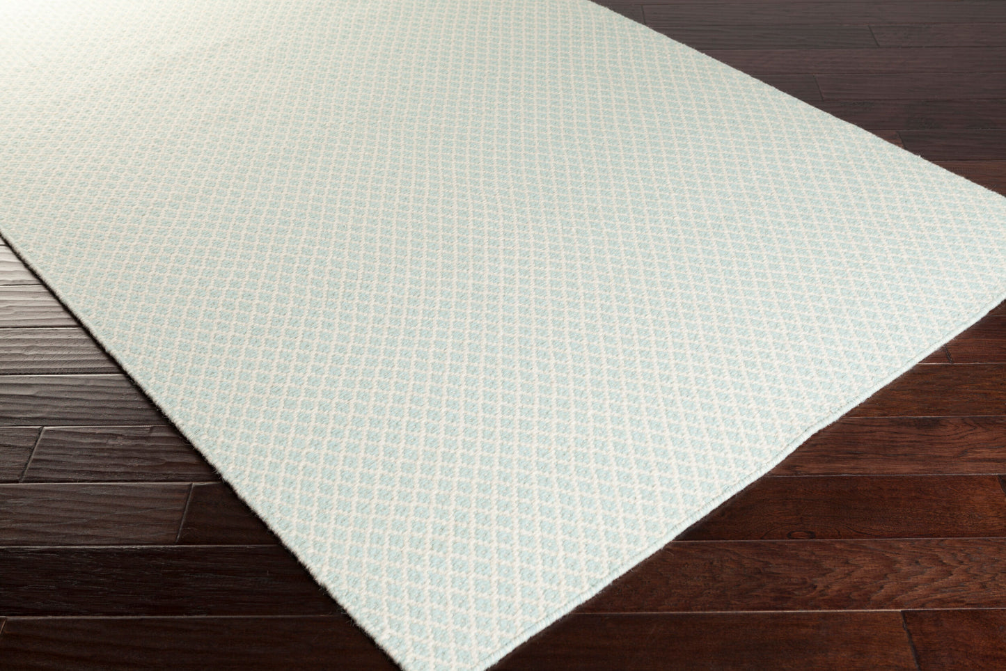 Ravena RVN-3113 2' x 3' Handmade Wool Accent Rug