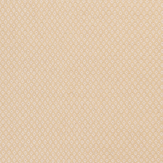 Alfombra decorativa de lana hecha a mano Ravena RVN-3116 de 2' x 3'