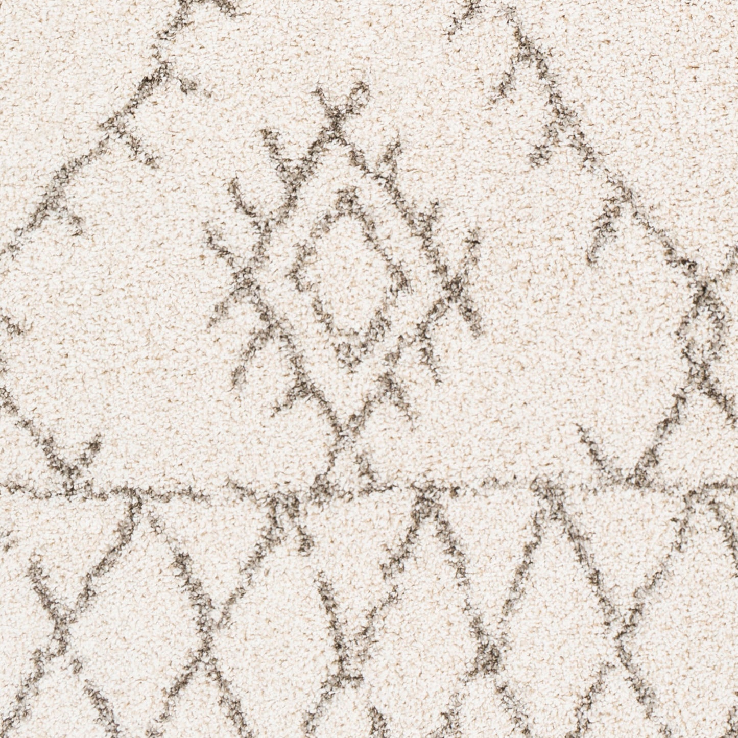 Serengeti Shag SGT-2301 5' x 7' Machine Woven Area Rug