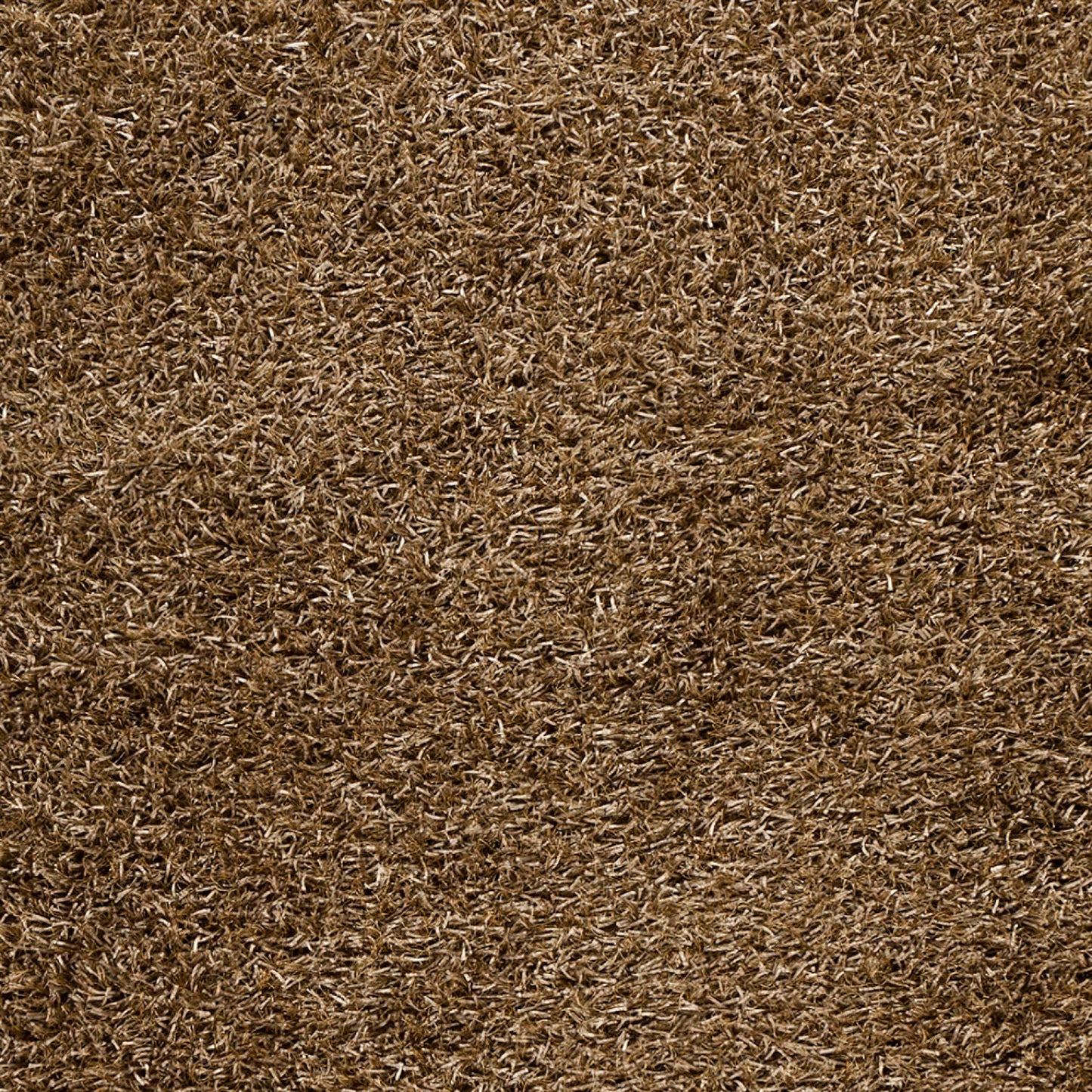 Taz TAZ-1022 2' x 3' Handmade Accent Rug
