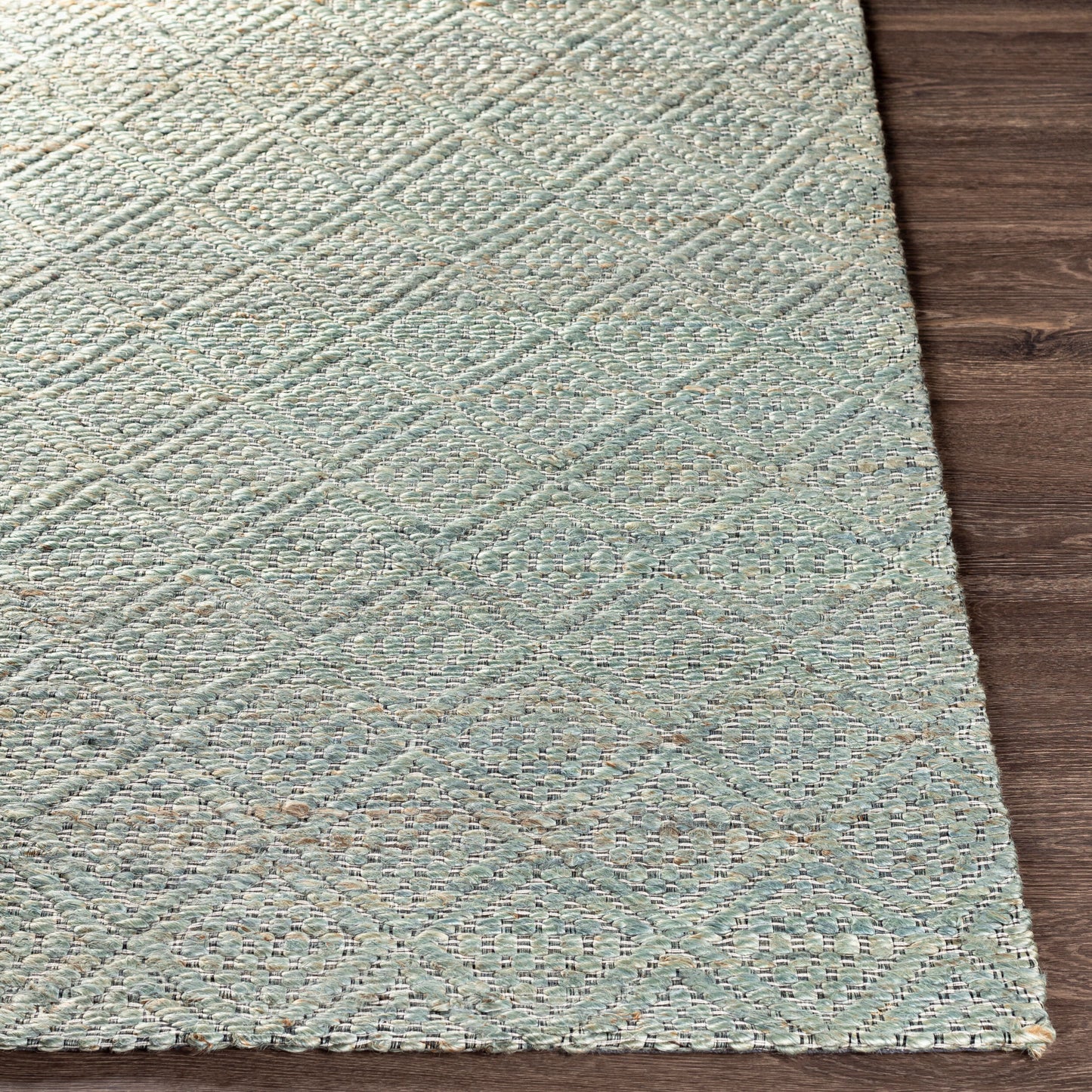Alfombra de yute hecha a mano Trace TCE-2302 de 9' x 12'