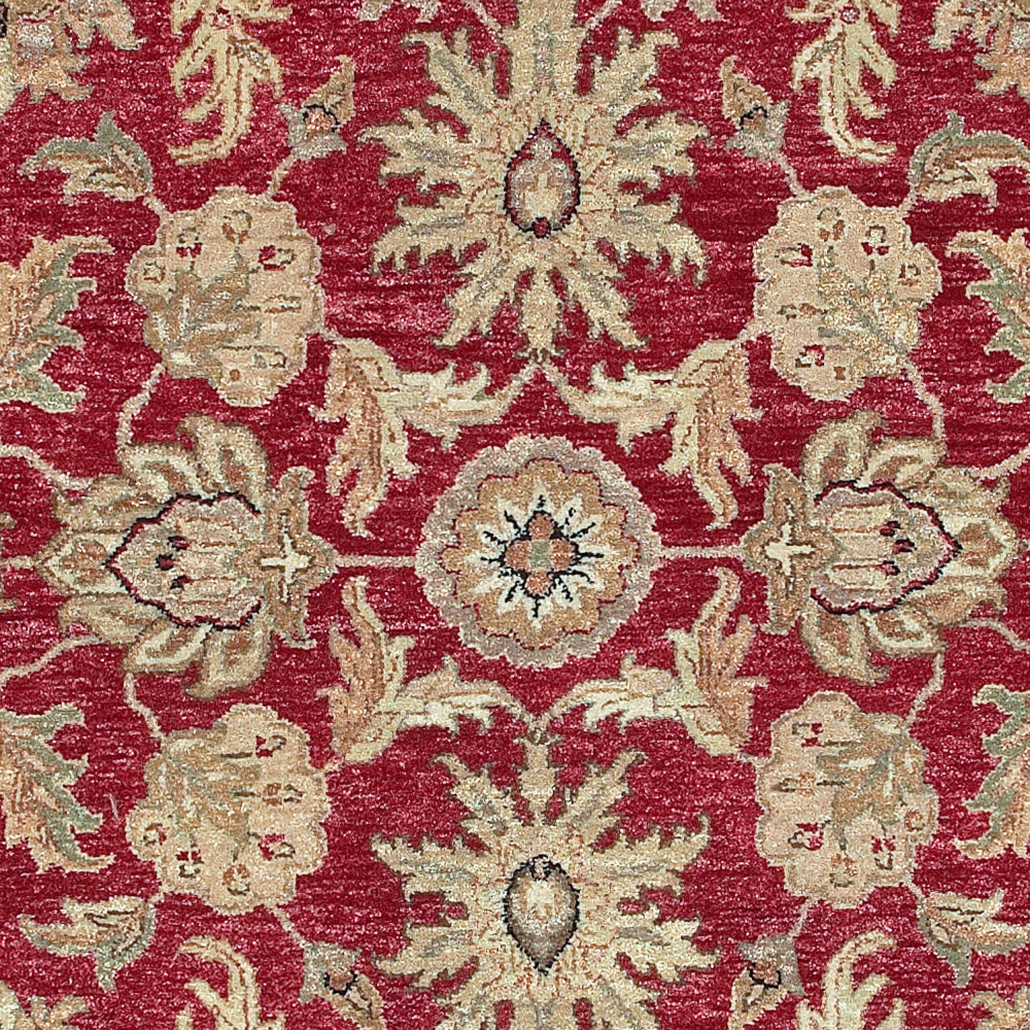 Timeless TIM-7901 5' x 9' Handmade Wool Area Rug