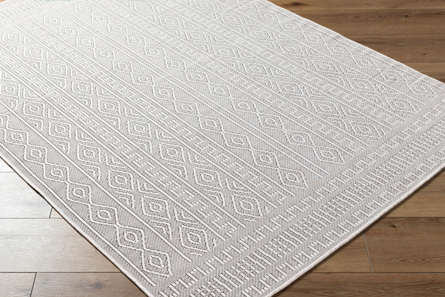 Terrace TRC-2310 2' x 3' Machine Woven Indoor/Outdoor Accent Rug