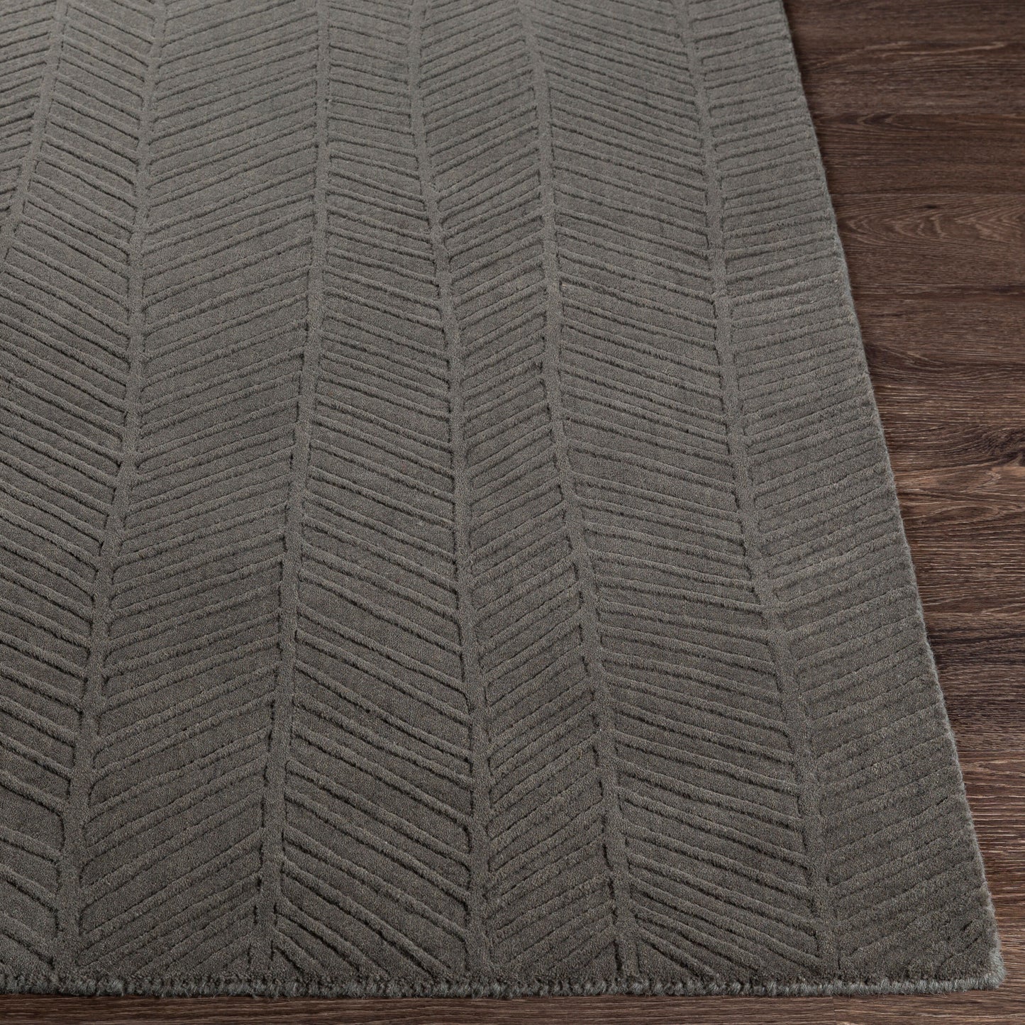 Taraash TRH-2304 2' x 3' Handmade Wool Accent Rug