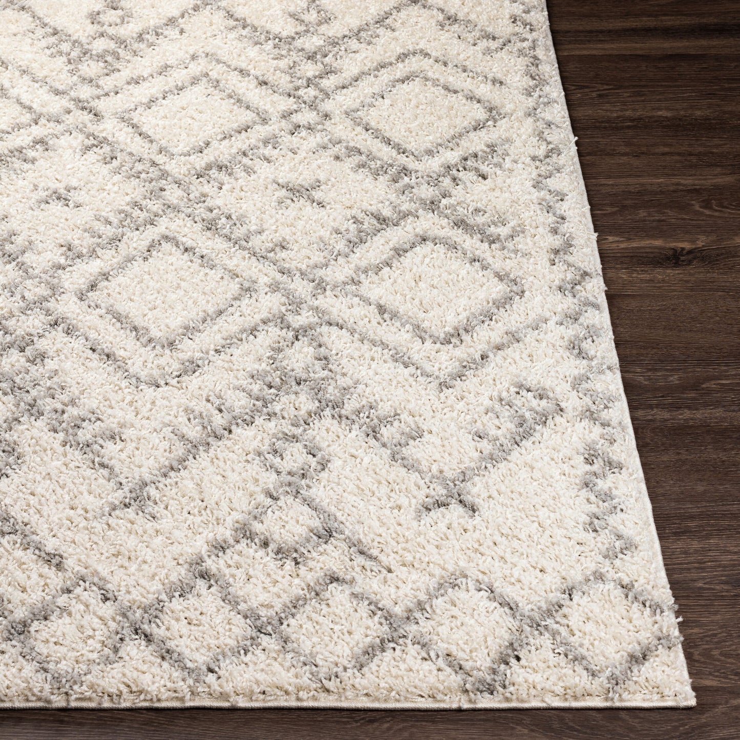 Taza Shag TZS-2326 5' x 7' Machine Woven Area Rug