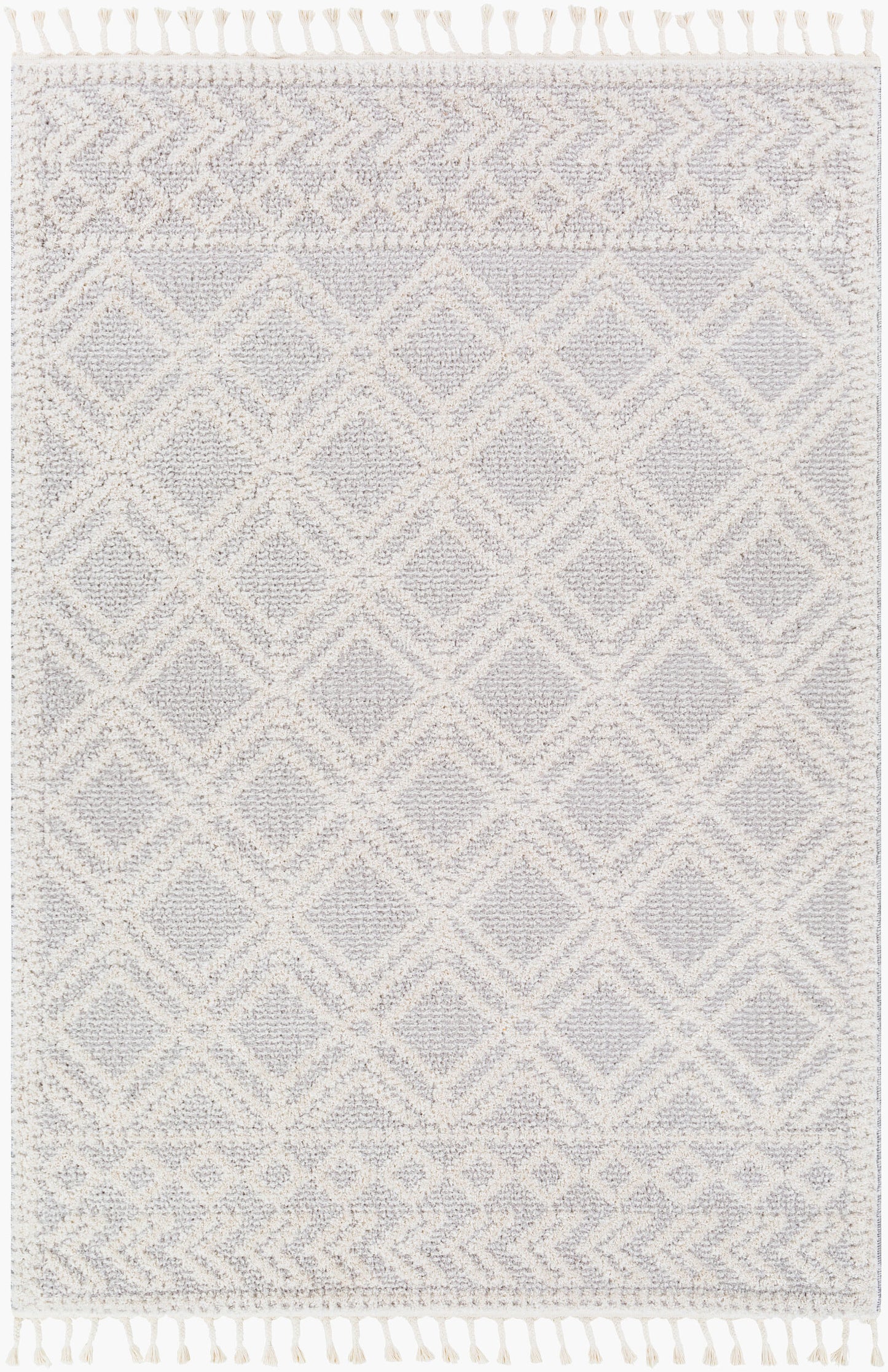 Valencia VLC-2315 2' x 3' Machine Woven Accent Rug