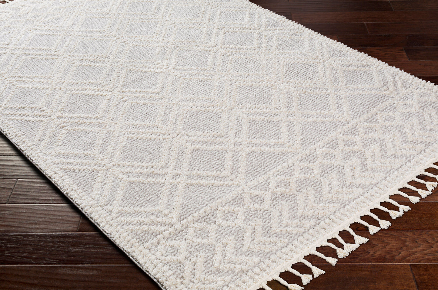 Valencia VLC-2315 2' x 3' Machine Woven Accent Rug