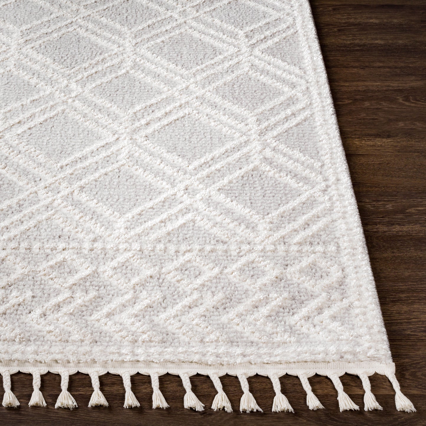Valencia VLC-2315 2' x 3' Machine Woven Accent Rug