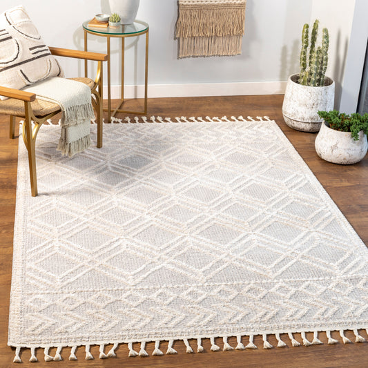 Valencia VLC-2315 2' x 3' Machine Woven Accent Rug