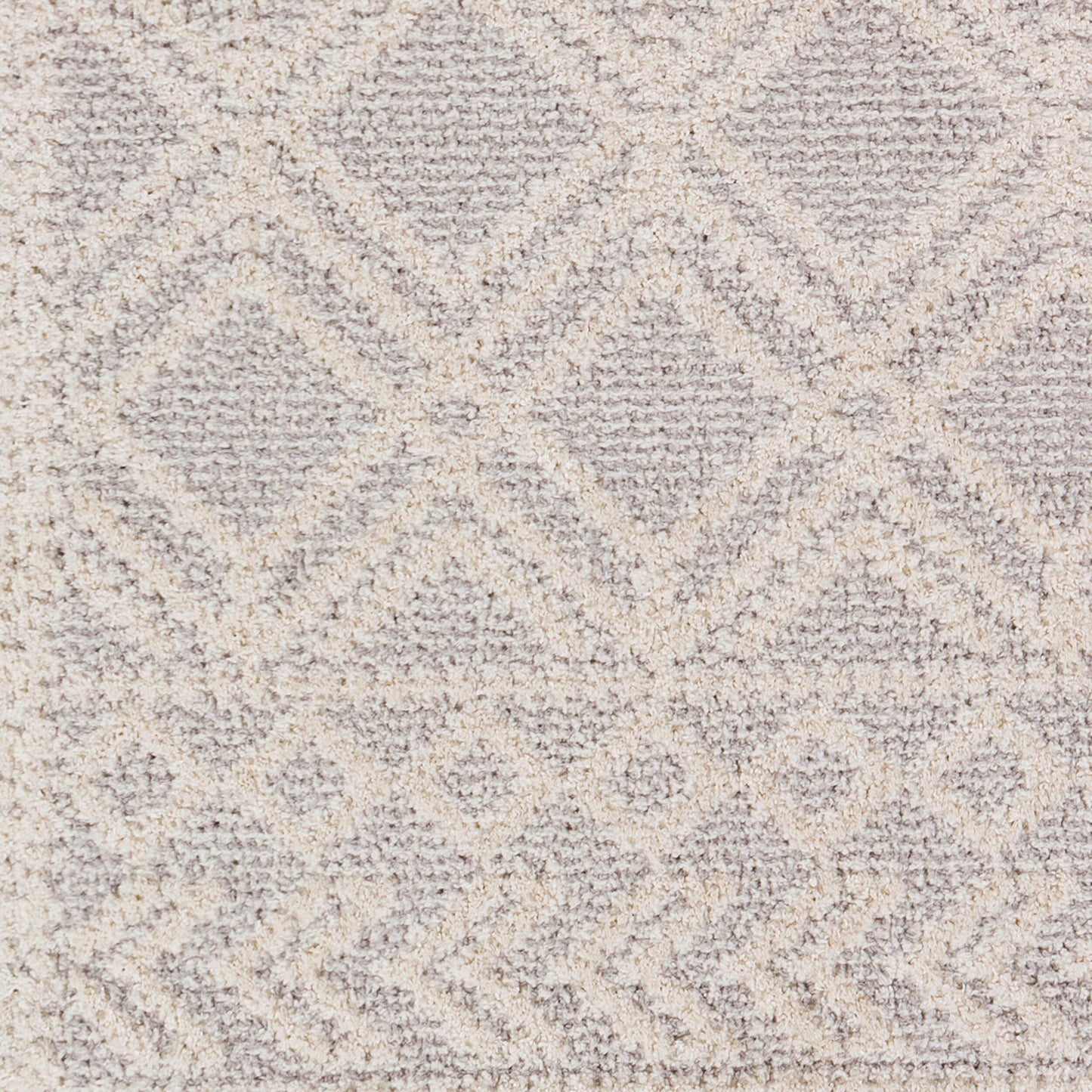 Valencia VLC-2315 2' x 3' Machine Woven Accent Rug