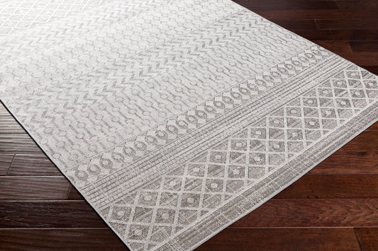 Veranda VRD-2305 2' x 3' Machine Woven Indoor/Outdoor Accent Rug