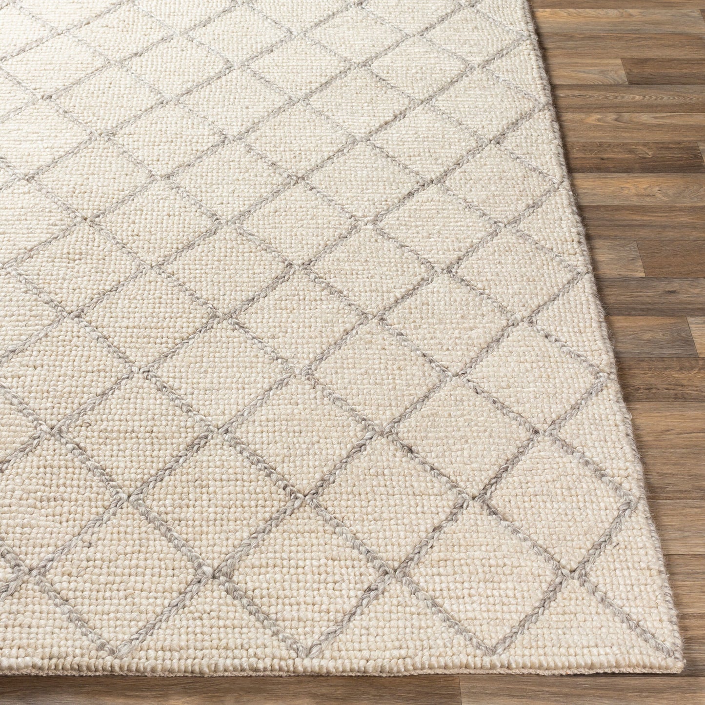 Whistler WSR-2300 2' x 3' Handmade Accent Rug