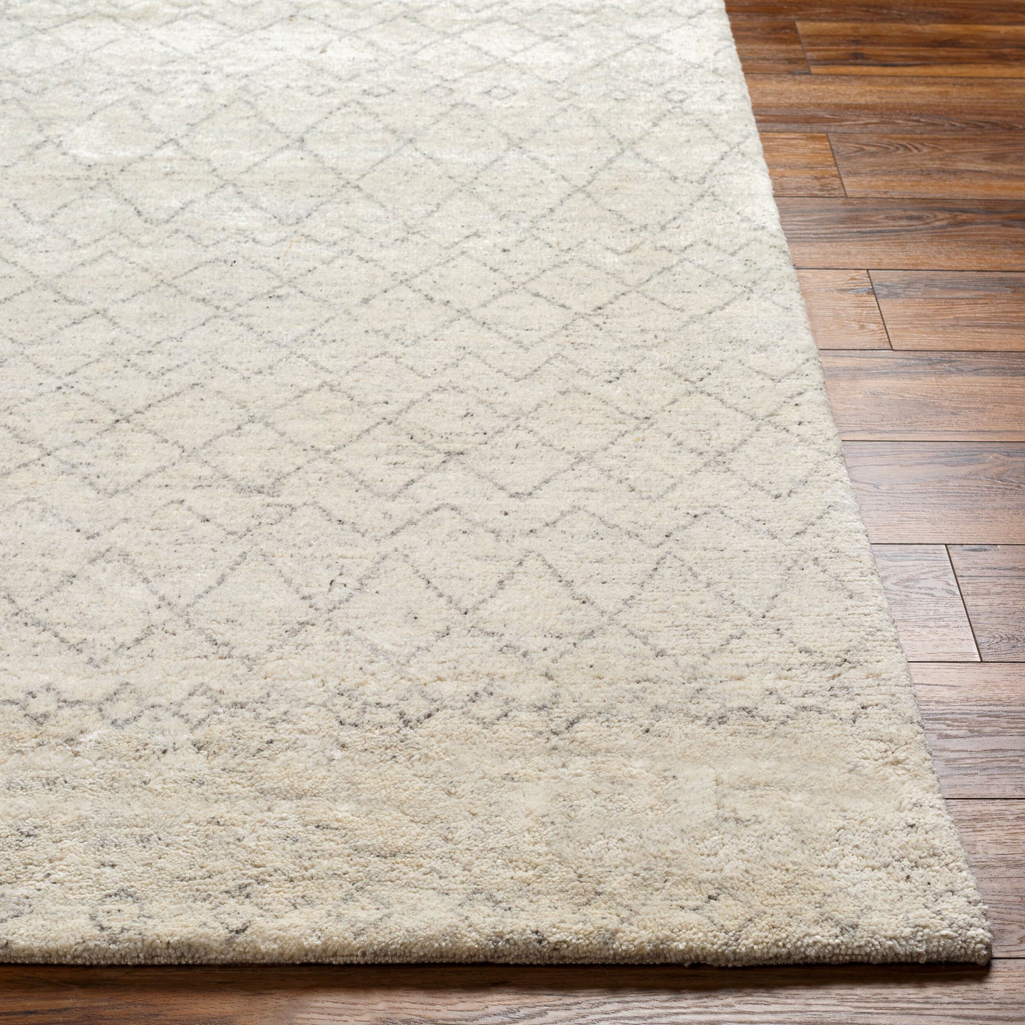 Zara ZAR-2306 2' x 3' Handmade Accent Rug