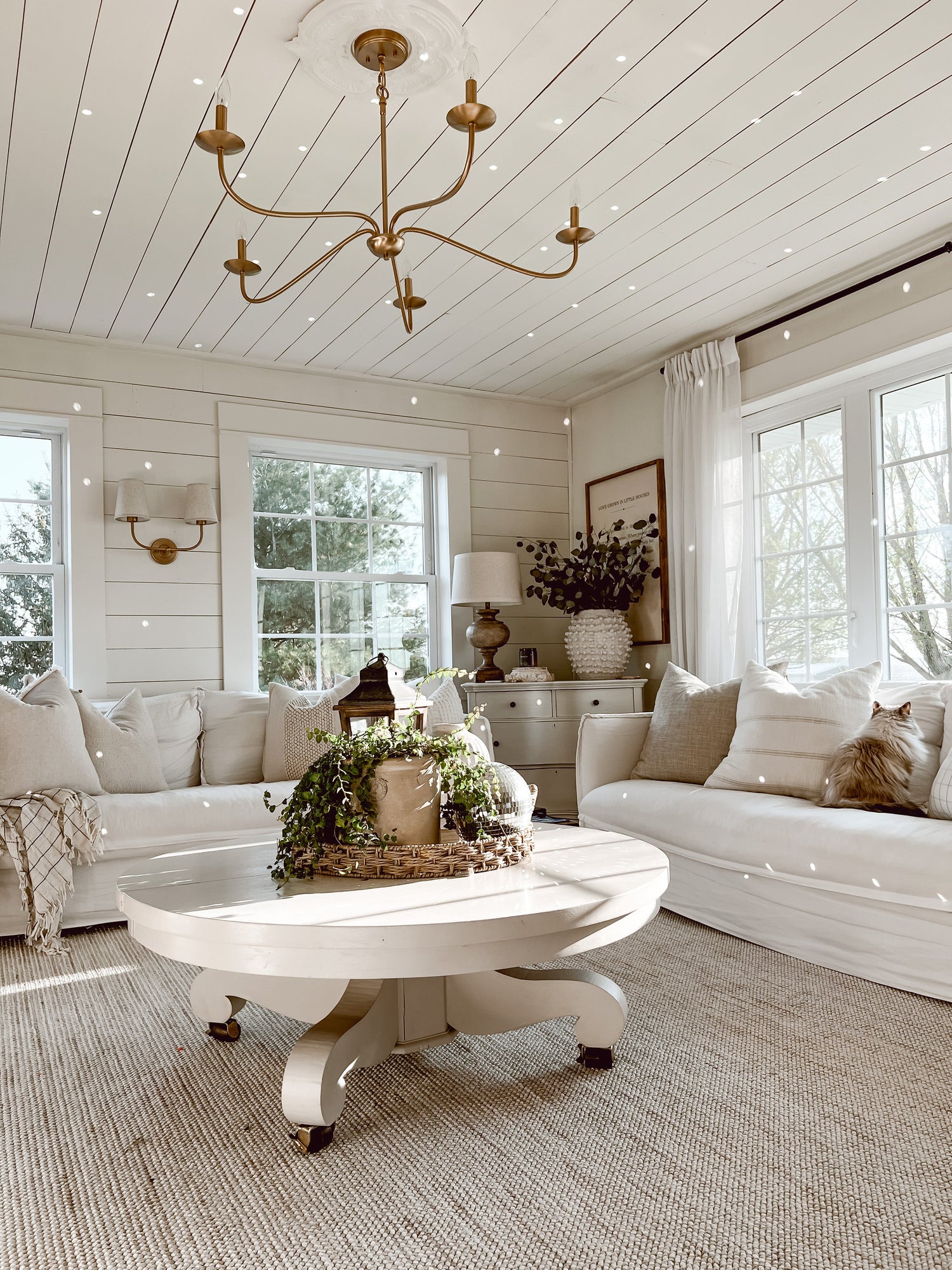 Handmade Cotton Rugs