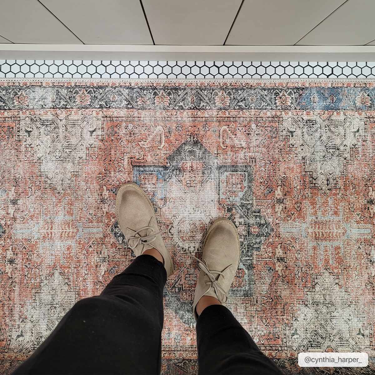 Amelie AML-2309 Machine Woven Rug