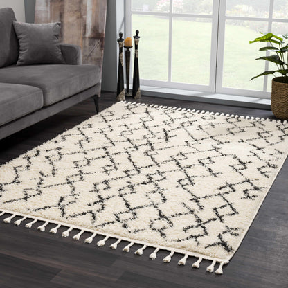 Berber Shag BBE-2301 Machine Woven Rug