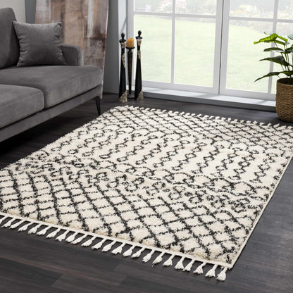 Berber Shag BBE-2309 Machine Woven Rug