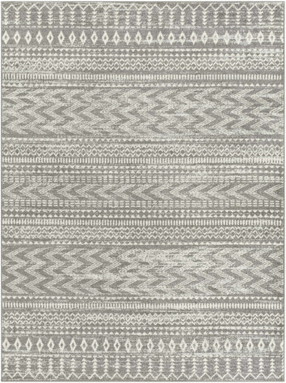 Tevazu TVZ-2384 Machine Woven Rug