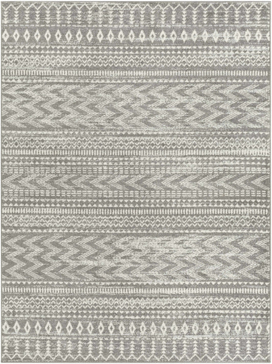 Tevazu TVZ-2384 Machine Woven Rug