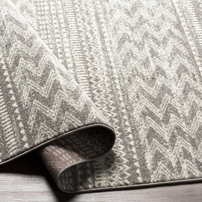 Tevazu TVZ-2384 Machine Woven Rug