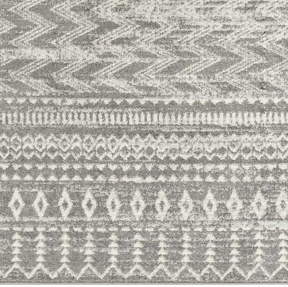 Tevazu TVZ-2384 Machine Woven Rug